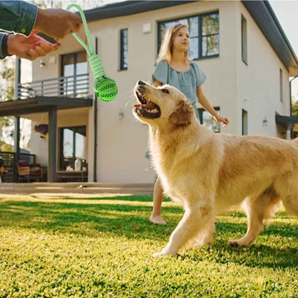 Elastic Dog Chew Toy Set with Spring Bar and Rope Toys