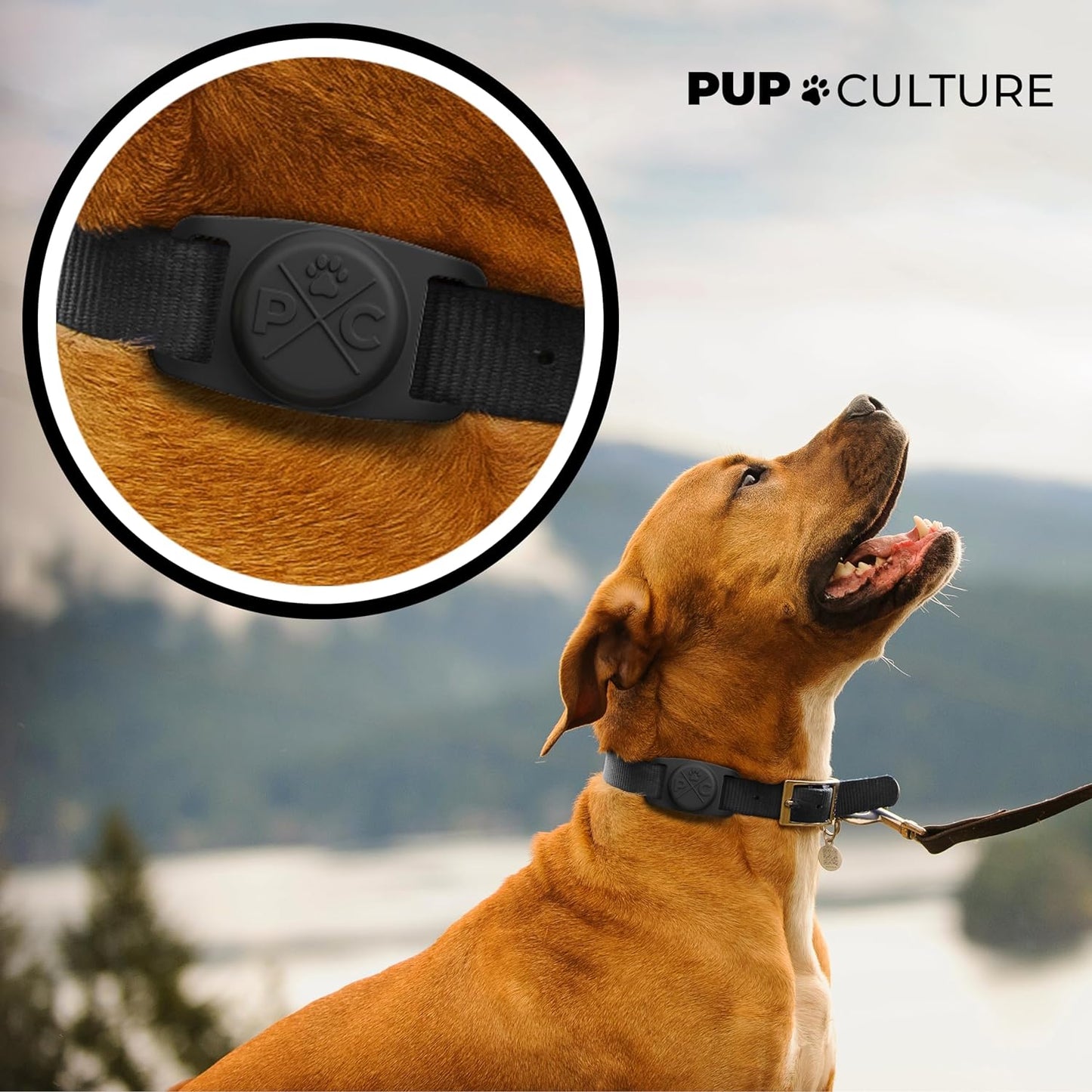 Premium Waterproof AirTag Pet Collar | Durable GPS-Ready Tracker Holder
