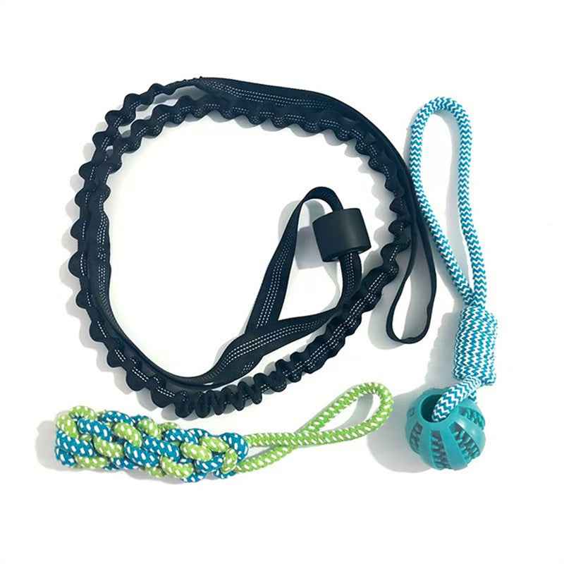 Elastic Dog Chew Toy Set with Spring Bar and Rope Toys