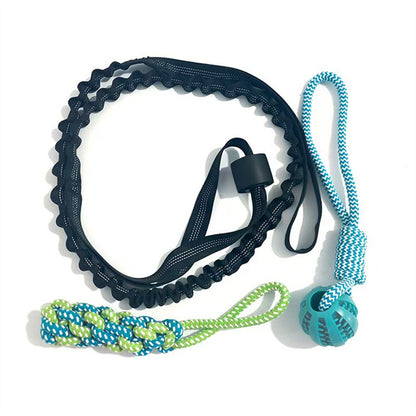 Elastic Dog Chew Toy Set with Spring Bar and Rope Toys