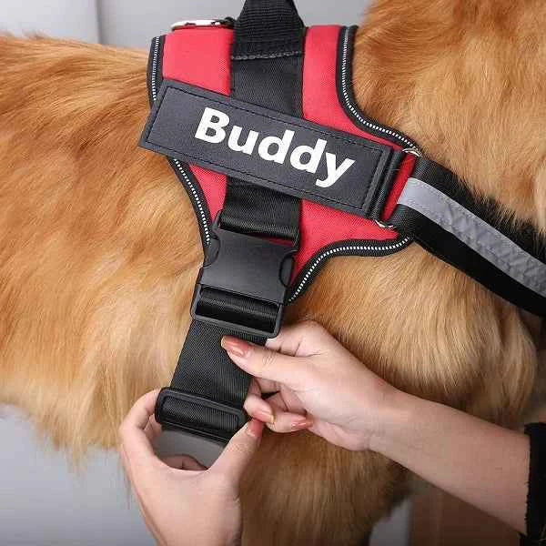 Adjustable Reflective Dog Chest Strap with Leash
