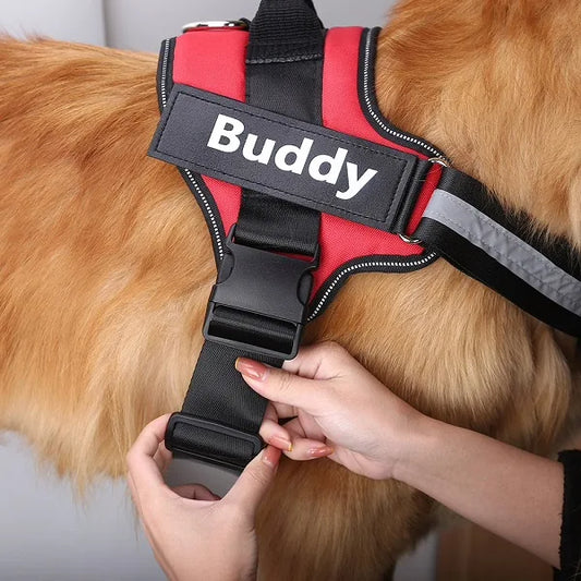 Adjustable Reflective Dog Chest Strap with Leash