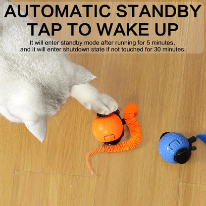 Rechargeable Interactive Cat Toy Ball - Available in Single or Double Pack, Durable Teaser for Play and Exercise, Ideal Indoor Cat Accessory