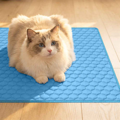 Ultimate Pet Cooling Mat — Instant Cooling Comfort for Dogs &amp; Cats