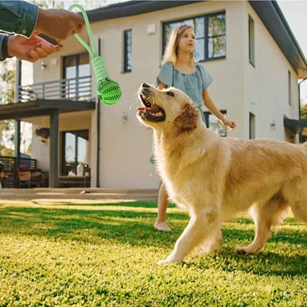 Elastic Dog Chew Toy Set with Spring Bar and Rope Toys