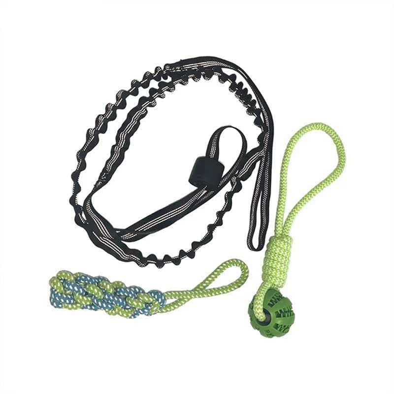 Elastic Dog Chew Toy Set with Spring Bar and Rope Toys