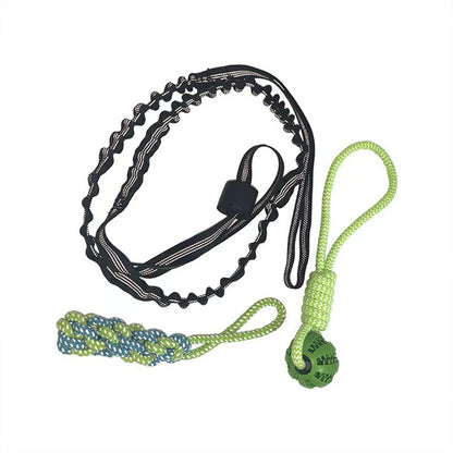 Elastic Dog Chew Toy Set with Spring Bar and Rope Toys