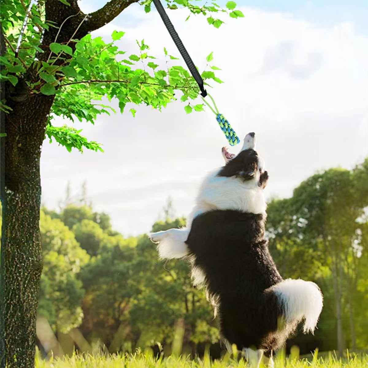 Elastic Dog Chew Toy Set with Spring Bar and Rope Toys