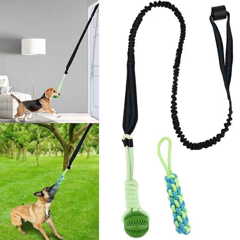 Elastic Dog Chew Toy Set with Spring Bar and Rope Toys