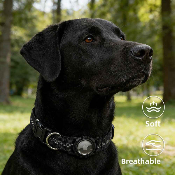 Airtag Dog Collar Cover Waterproof Reflective